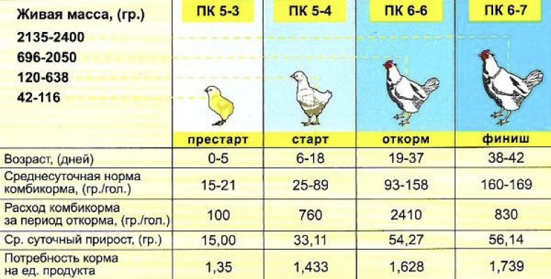 Схема кормления комбикормом