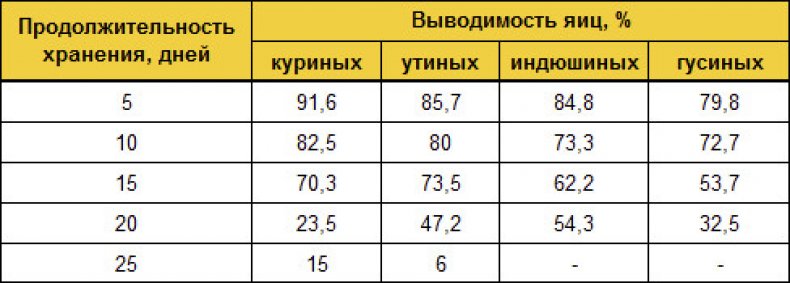 Срок хранения яиц и выводимость