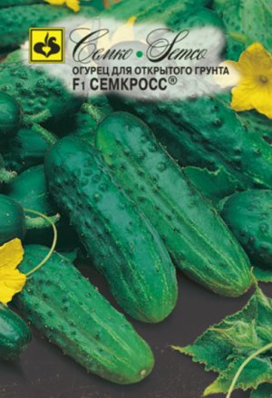 Огурцы сорта «Семкросс»