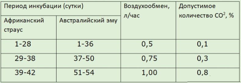 Таблица инкубации страусиных яиц