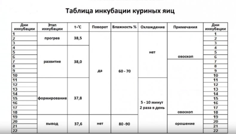 Таблица инкубации куриных яиц