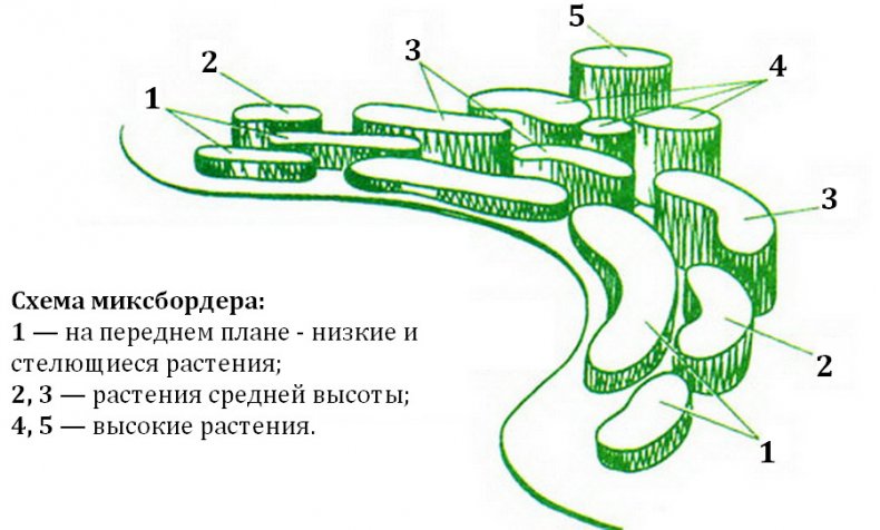 План миксбордера