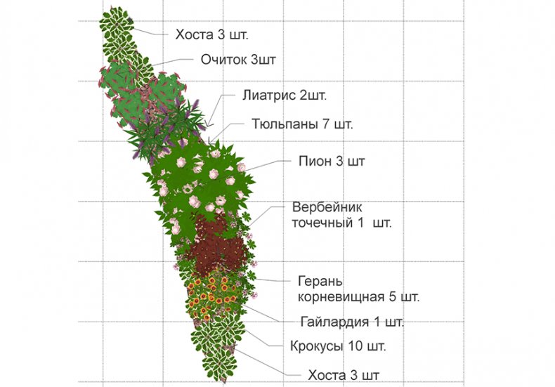 Миксбордер непрерывного цветения