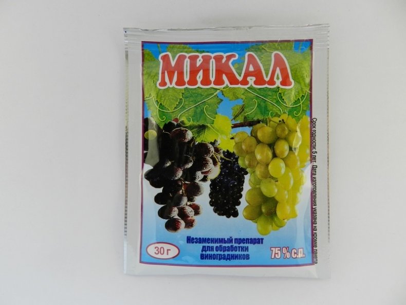 Место №2 «Микал»