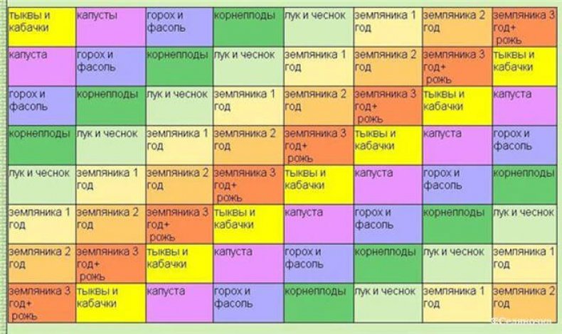 Таблица севооборота овощных культур