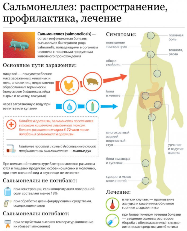 Симптомы и лечение сальмонеллеза