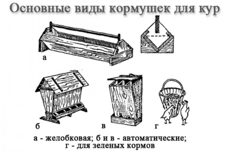 Виды кормушек для кур