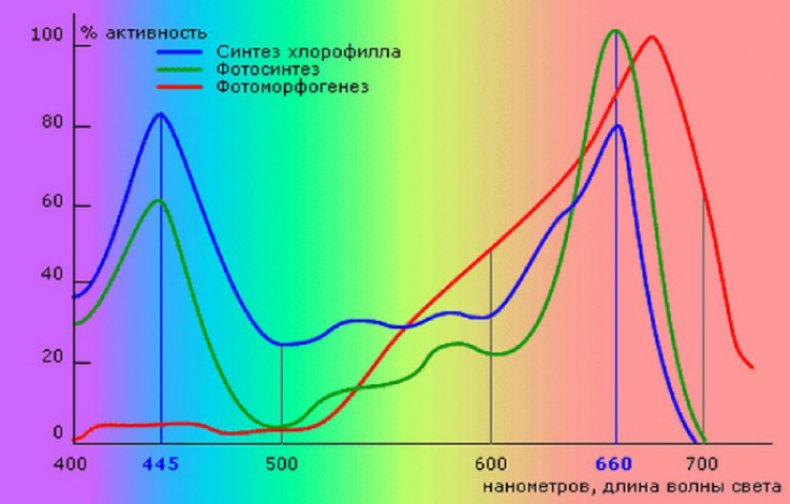 Спектр освещения для растений