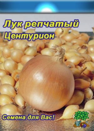 Лук «Центурион»