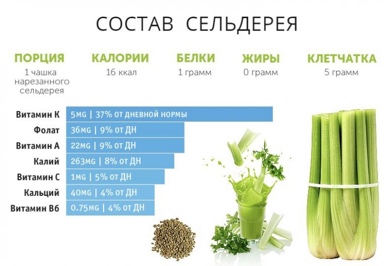 Состав сельдерея