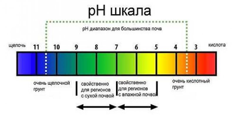 Шкала кислотности