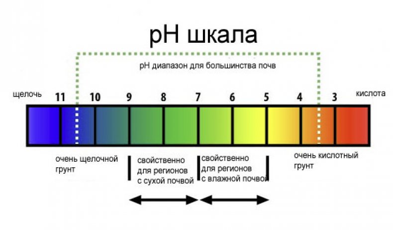 Кислотность почвы