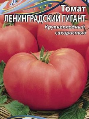 Ленинградсикй гигант