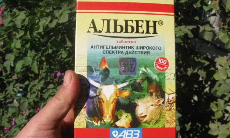 «Альбен»