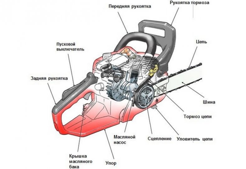 Строение бензопилы