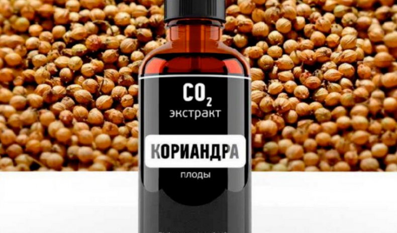 Экстракт кориандра