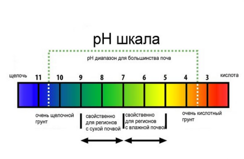 кислотность почвы