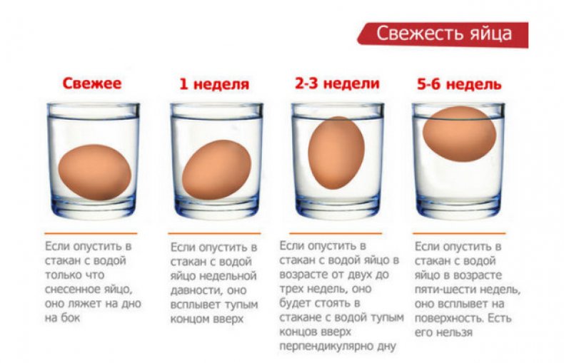 Какое яйцо всплывает полностью