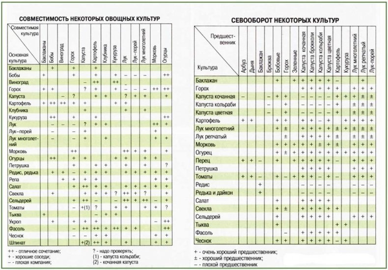 Совместимость и севооборот культур