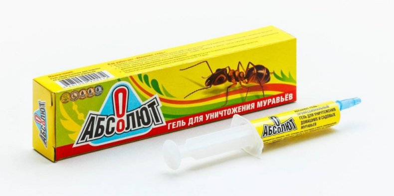 «Абсолют»