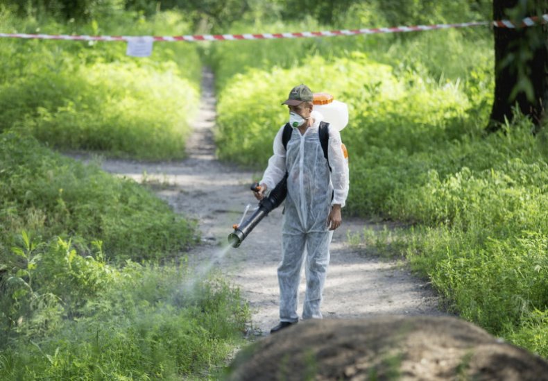 Борьба с амброзией с помощью химикатов