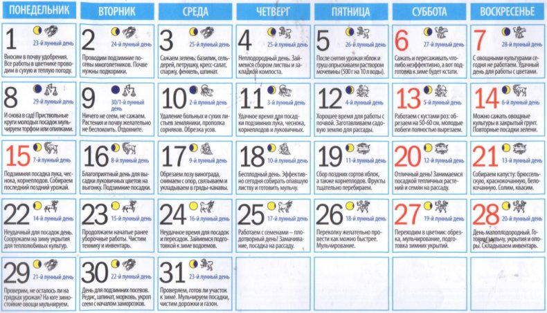 Лунный календарь огородных работ на октябрь 2018