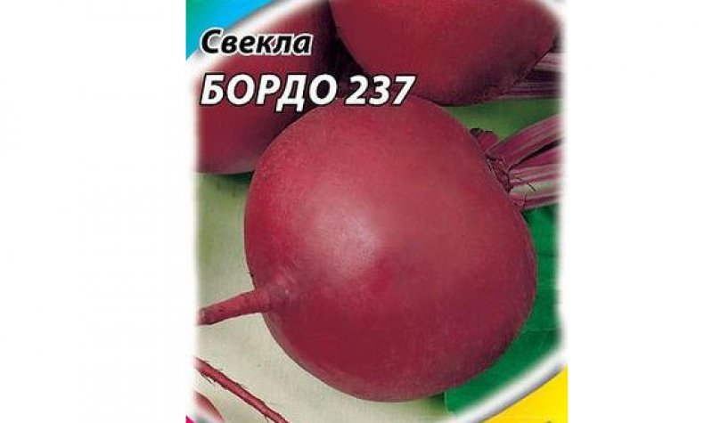 Бордо 237