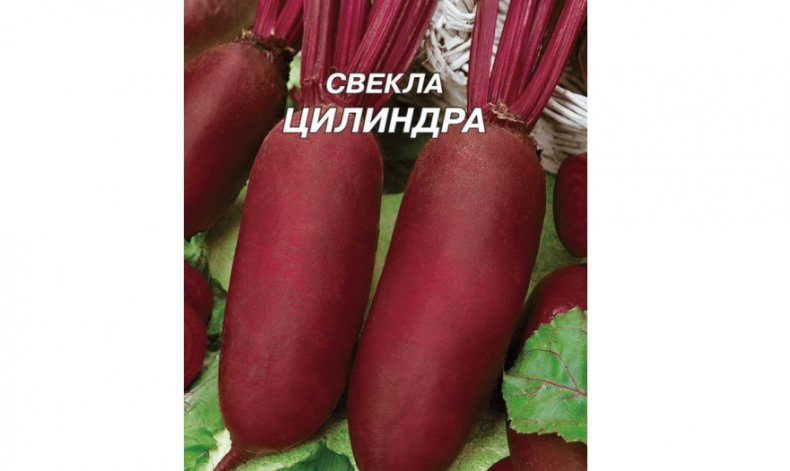 Цилиндра