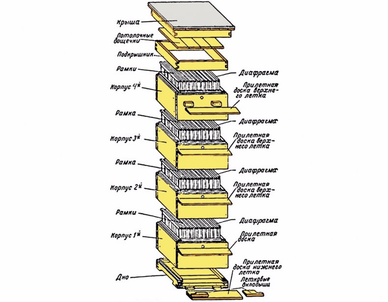 Конструкция многокорпусного улья