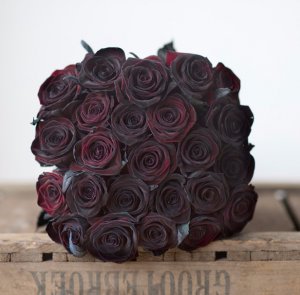 Black Baccara