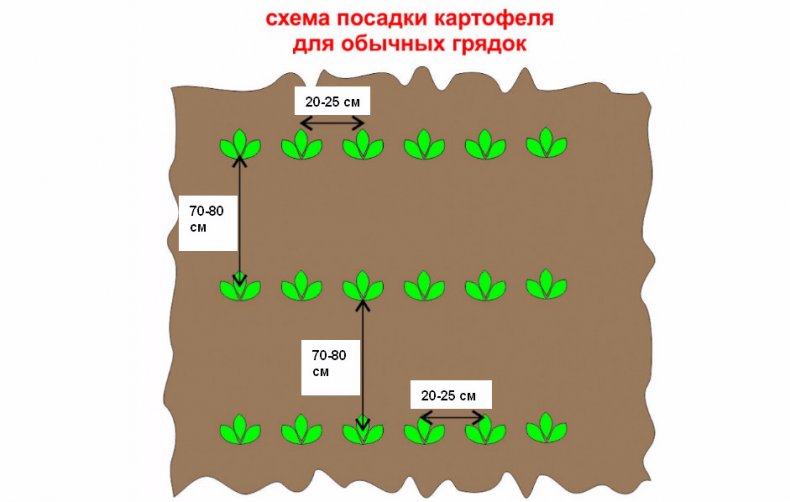 Схема посадки