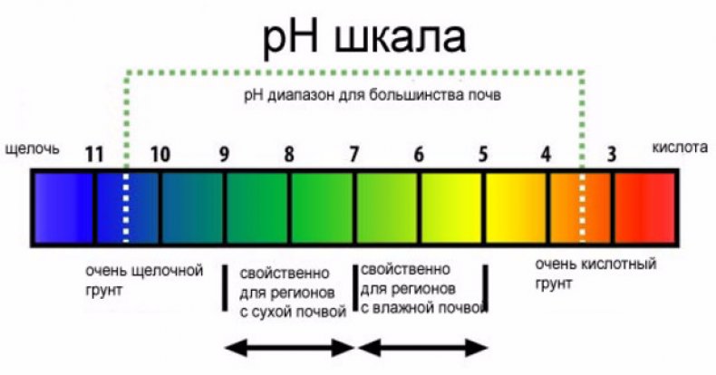 Шкала кислотности почвы