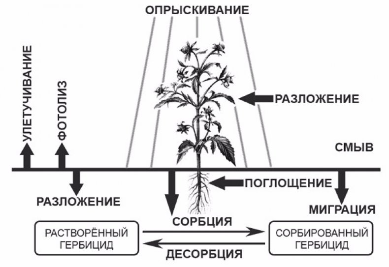 Принцип действия