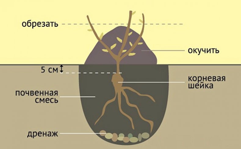 Схема посадки