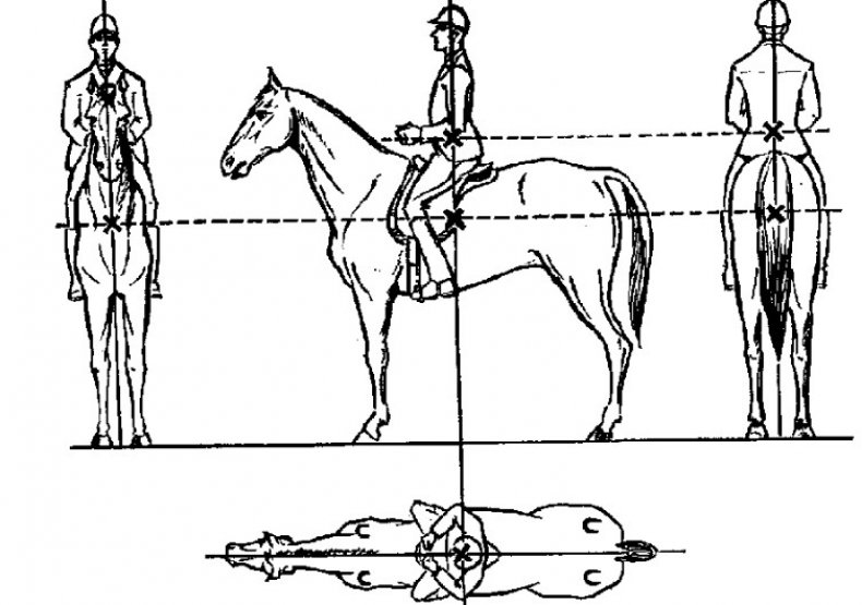 Правильная посадка на лошадь