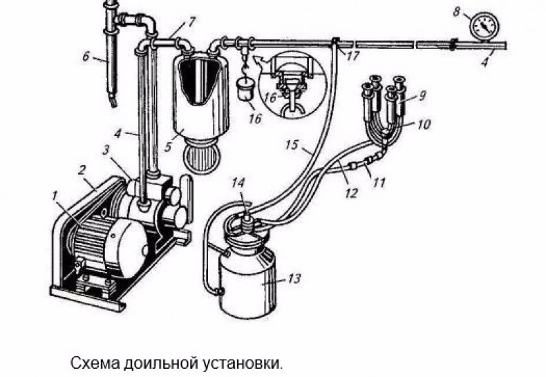 Схема доильной установки