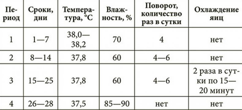 Таблица режима инкубации