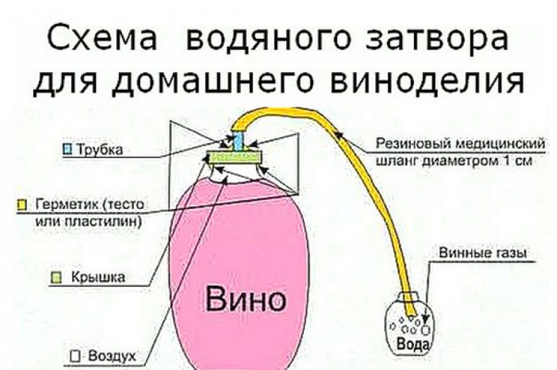 Водяной затвор