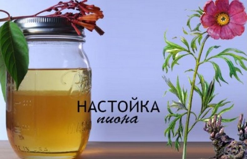 Настойка