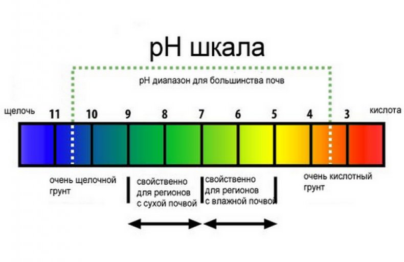 Шкала