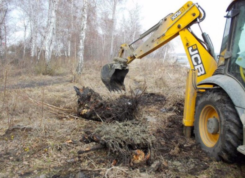 Корчевание пней