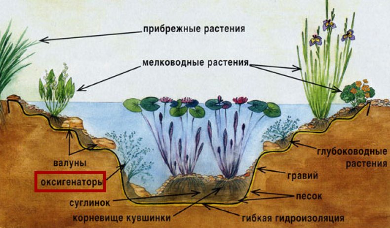 Оксигенаторы