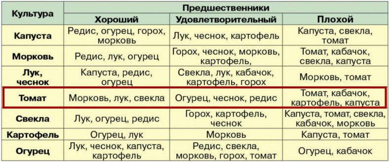 Предшественники томатов