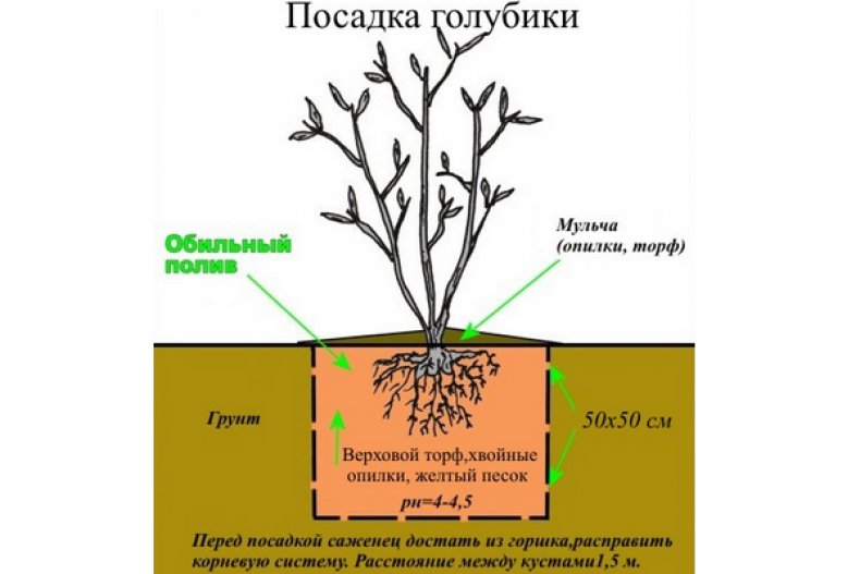 Посадка