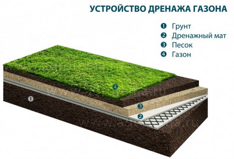 Устройство дренажа газона