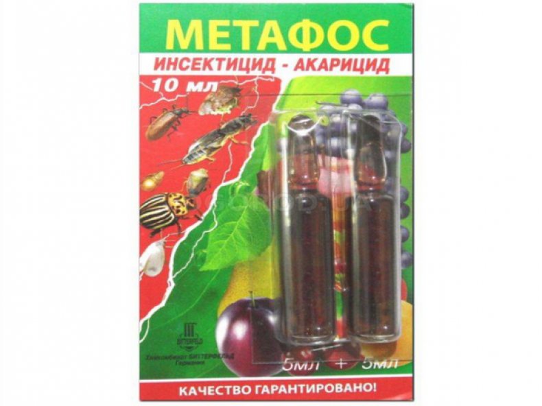 «Метафос»