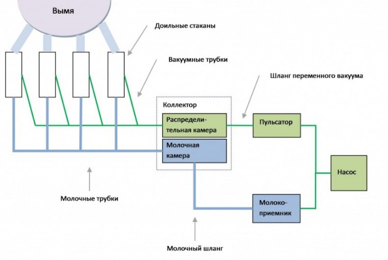 Конструкция доильного аппарата