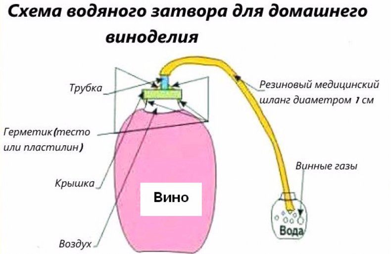 Схема водяного затвора