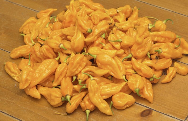 Habanero Fataly