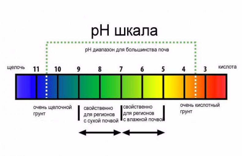 Шкала кислотности почвы